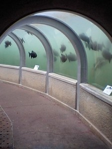 水中トンネル