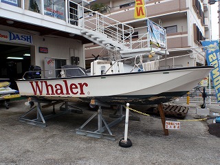 来た時は・・・