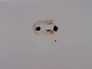 まぁキレイっ！