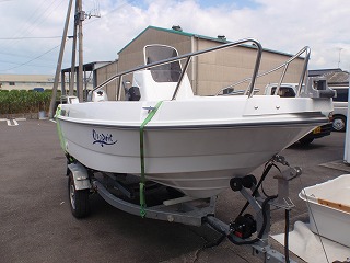 ワイルドキャット　１