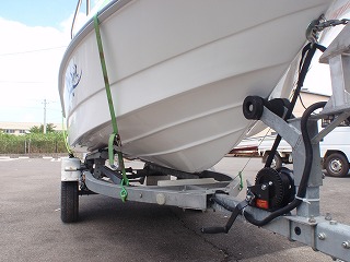 ワイルドキャット　４