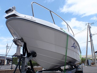 ワイルドキャット　５