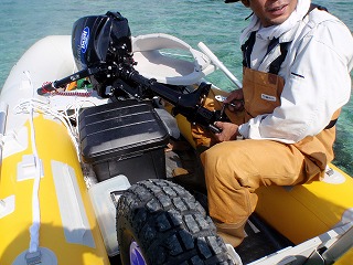 近づいてみると