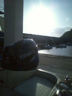 朝から作業開始