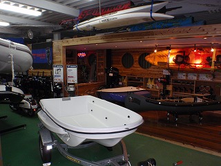 ＤＡＳＨ　ＭＩＮＩ　Ｌｉｇht