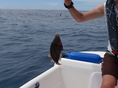 きたかぁ～っ！？