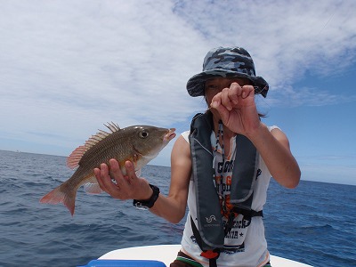 また、きたぁ～っ！！