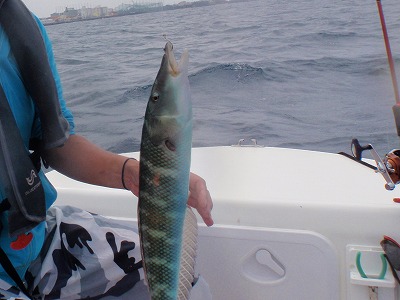 あなた誰っ！？