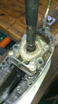 水通ししましょうね