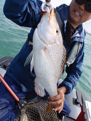 わぁおっ！！！