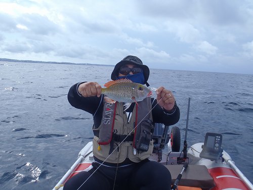 本日の釣果
