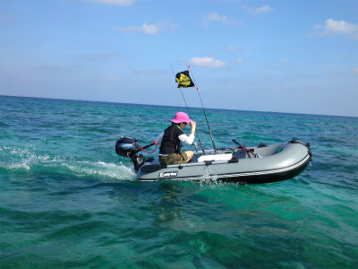 ウロウロ、ウロウロ