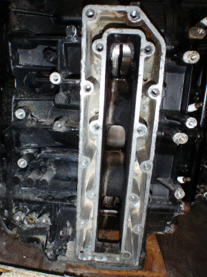 キレイになりました