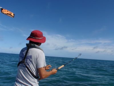 楽しそう。。。