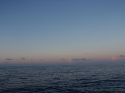 午前中　　行ってきました