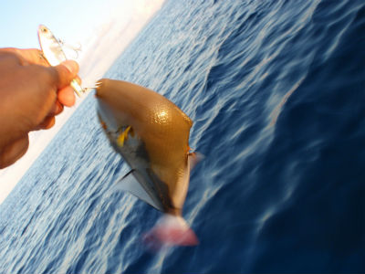 グエッ　グエッ