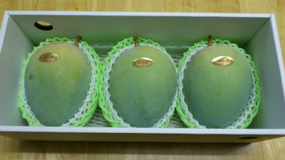 キーツマンゴー