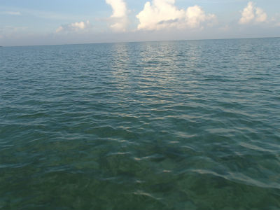 穏やかでしたよ