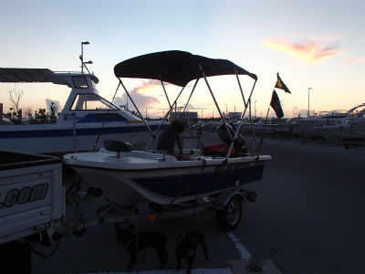 ビミニトップ広げて