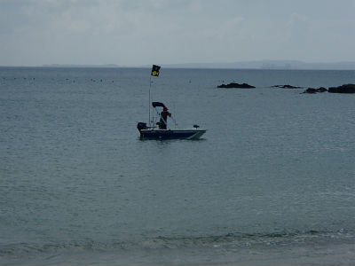 今のうちに・・・