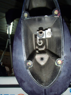 見てみる・・・