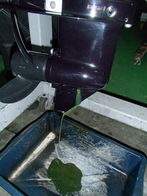 エンジンオイル交換