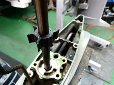 羽がありません