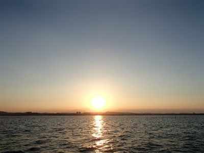 行ってきました