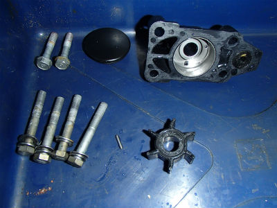 インペラー確認