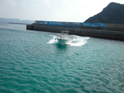 ありがとうございます