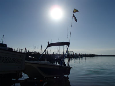 おめでとうございます