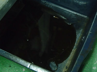 エンジンオイル交換