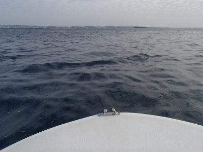 荒れてきました