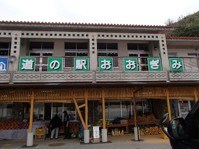 道の駅おおぎみ