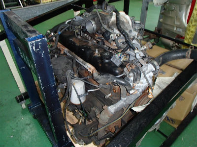 ここにも何かいる・・・