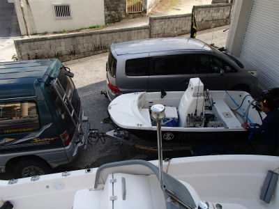 賑やかになりました