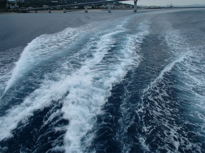 早いですねぇ～