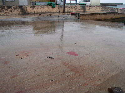 雨は、やみません