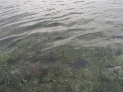 天気よければねぇ。。。