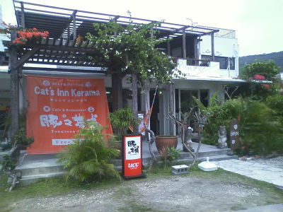 キャッツインケラマ