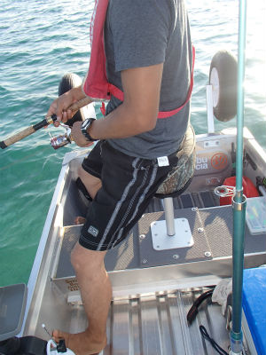 キャスティングシート