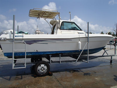 キレイになりました