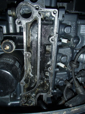 キレイになりました