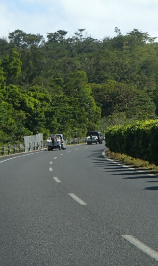 高速道路で