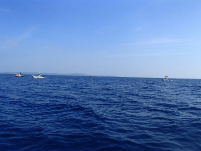 釣れてますかぁ～