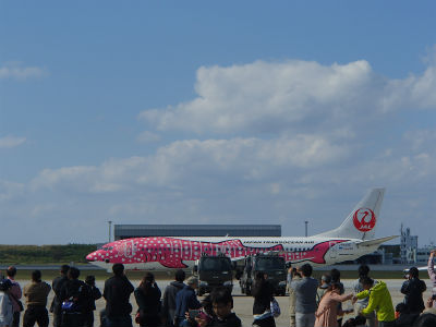 ジンベエジェット