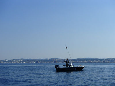 釣れてますかぁ～