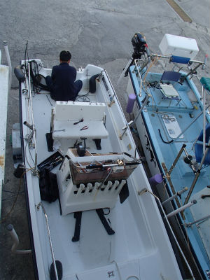 作業は続く。。。