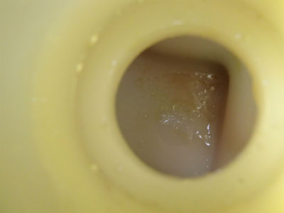 船外機　点検・整備