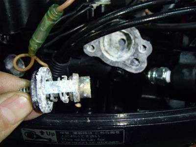 船外機　点検・整備